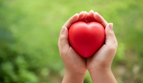 mani che tengono un cuore